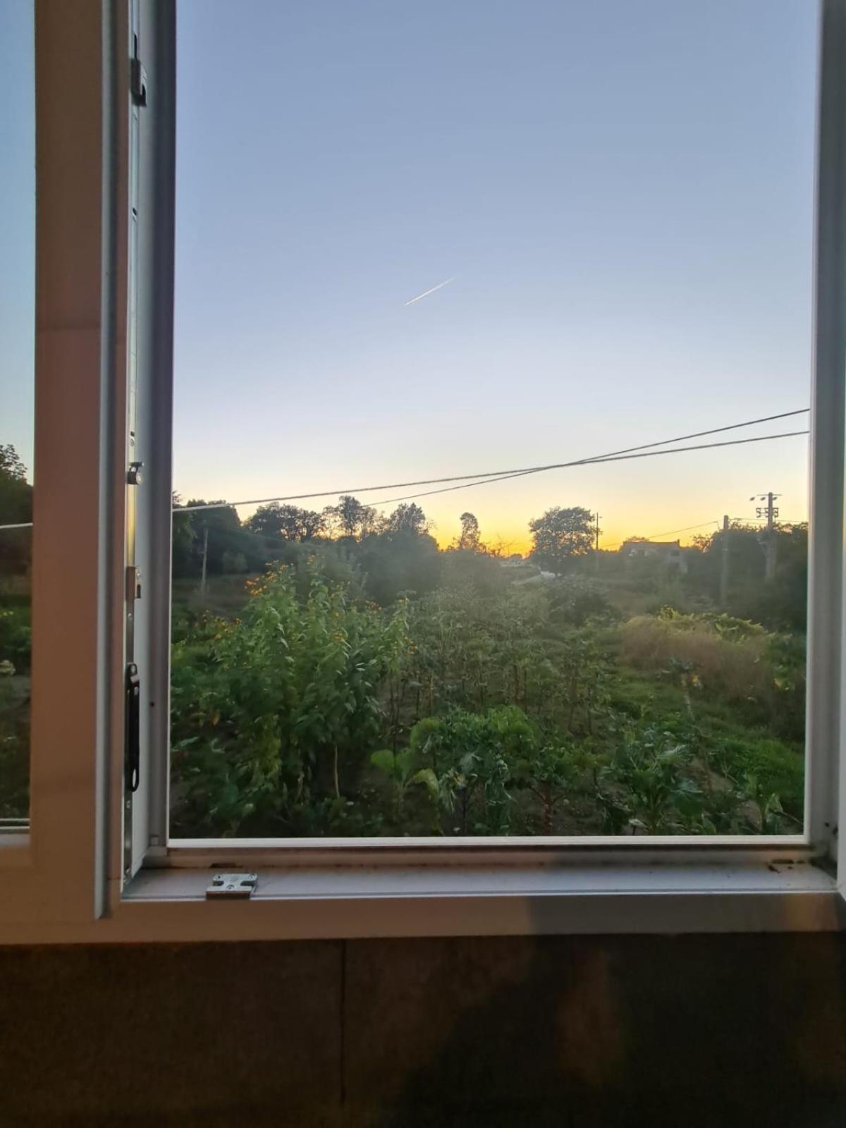 Apartamento T2 Zona Rural Vila Nova de Paiva Exterior foto